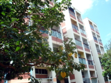 woodlands-street-81 photo thumbnail #4